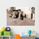 Combat Engineer Searches for Wall Decal