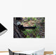 Marine Uses Tree for Wall Decal