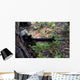 Marine Uses Tree for Wall Decal