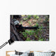 Marine Uses Tree for Wall Decal