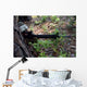 Marine Uses Tree for Wall Decal