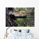 Marine Uses Tree for Wall Decal