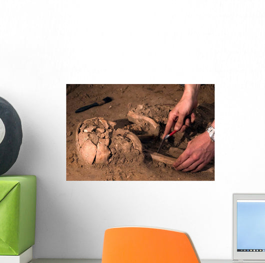 Human Remains Discovered during Wall Decal