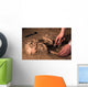Human Remains Discovered during Wall Decal