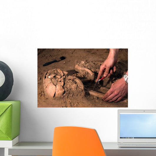 Human Remains Discovered during Wall Decal