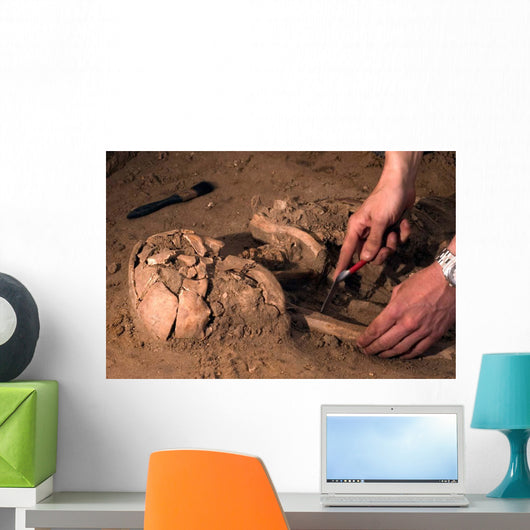 Human Remains Discovered during Wall Decal