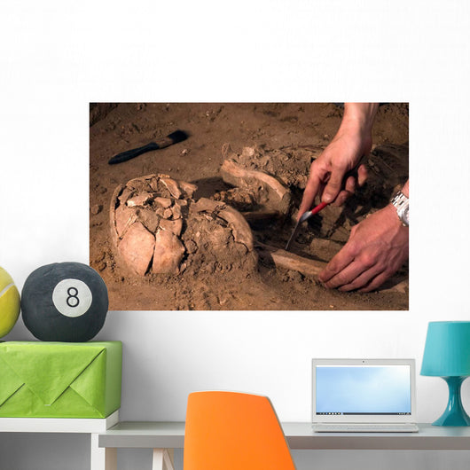 Human Remains Discovered during Wall Decal