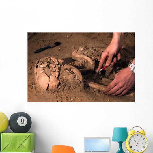 Human Remains Discovered during Wall Decal