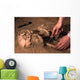 Human Remains Discovered during Wall Decal