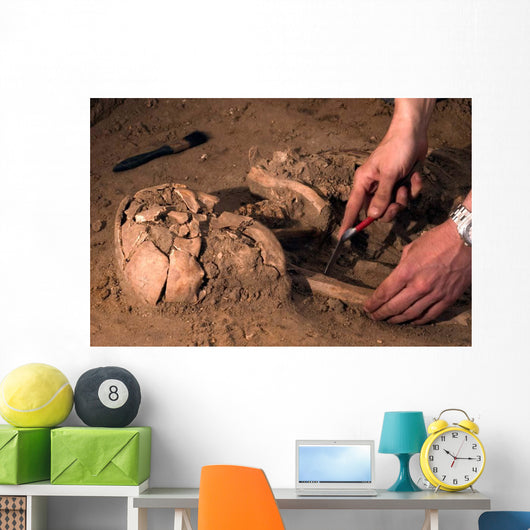 Human Remains Discovered during Wall Decal