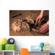 Human Remains Discovered during Wall Decal