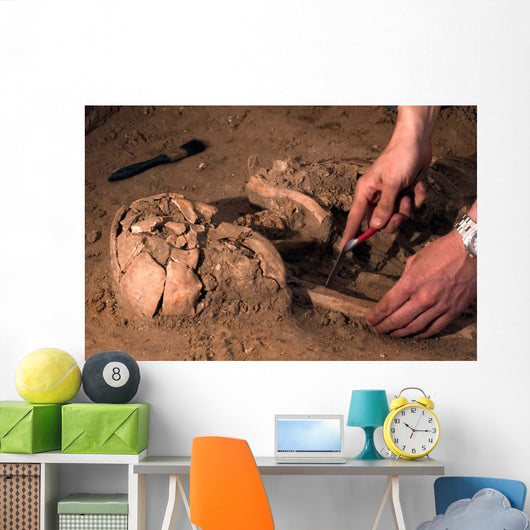 Human Remains Discovered during Wall Decal
