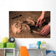 Human Remains Discovered during Wall Decal