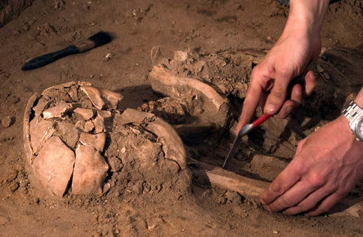 Human Remains Discovered during Wall Decal