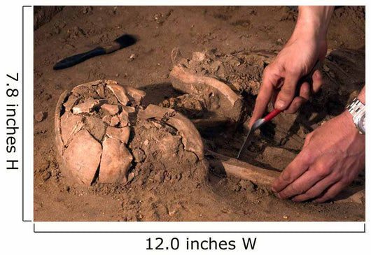 Human Remains Discovered during Wall Decal