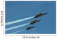 Blue Angels Perform Aerial Wall Decal
