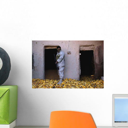 Iraqi Army Soldier Checks Wall Decal