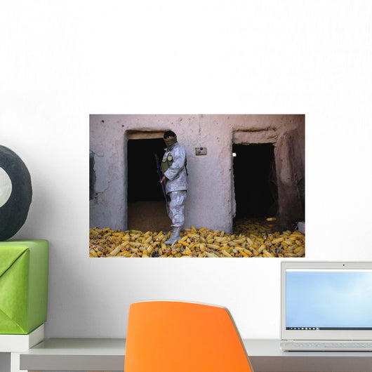 Iraqi Army Soldier Checks Wall Decal