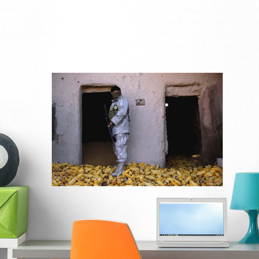 Iraqi Army Soldier Checks Wall Decal
