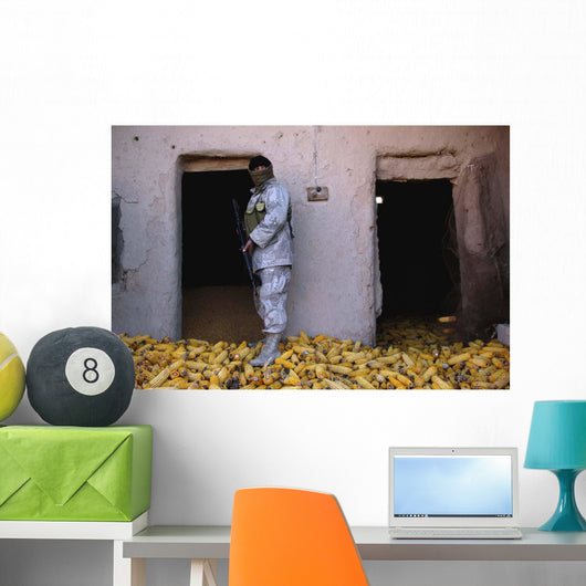 Iraqi Army Soldier Checks Wall Decal