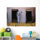 Iraqi Army Soldier Checks Wall Decal