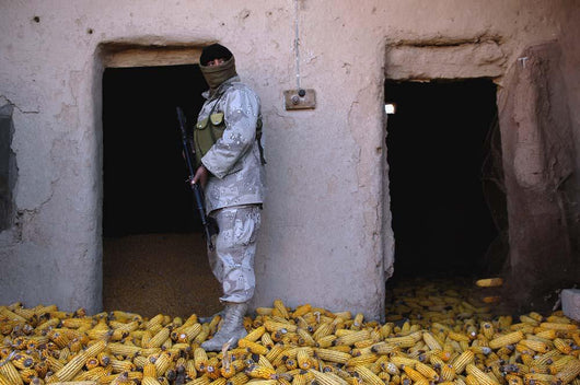 Iraqi Army Soldier Checks Wall Decal