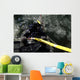 Us Navy Diver Gets Wall Decal