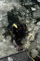 Us Navy Diver Swims Wall Decal