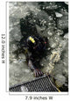 Us Navy Diver Swims Wall Decal