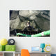 United States Navy Diver Wall Decal