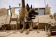 Military Working Dog Sits Wall Decal