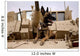 Military Working Dog Sits Wall Decal