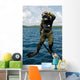 Us Navy Diver Jumps Wall Decal