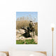 Marines Search for Weapons Wall Decal