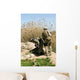 Marines Search for Weapons Wall Decal