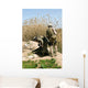 Marines Search for Weapons Wall Decal