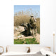 Marines Search for Weapons Wall Decal