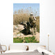 Marines Search for Weapons Wall Decal