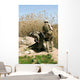 Marines Search for Weapons Wall Decal