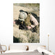 Us Marine Jumps down Wall Decal