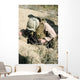 Us Marine Jumps down Wall Decal