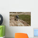 Us Army Specialist Climbs Wall Decal