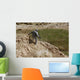 Us Army Specialist Climbs Wall Decal