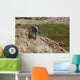 Us Army Specialist Climbs Wall Decal