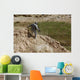 Us Army Specialist Climbs Wall Decal