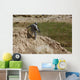 Us Army Specialist Climbs Wall Decal