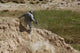 Us Army Specialist Climbs Wall Decal