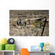 Us Army Soldiers Walk Wall Decal