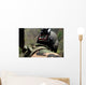 Us Army National Guardsman Wall Decal