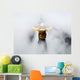 Us Navy Flight Deck Wall Decal
